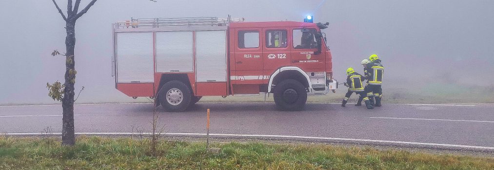 Verkehrsunfall mit Menschenrettung